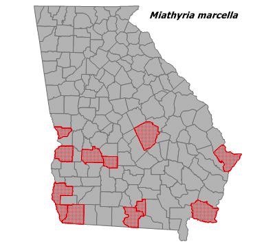 L-MIAMAR Map 2020.jpg L-MIAMAR Map 2020.jpg